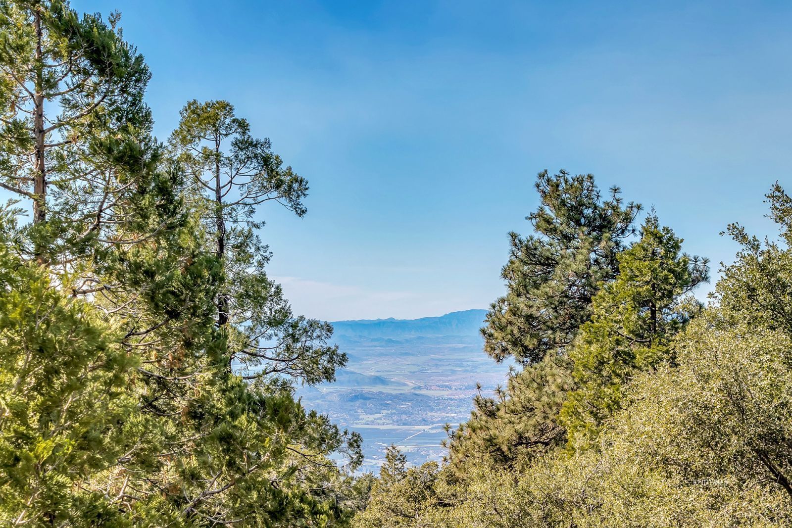 52365 Pine Ridge Road Idyllwild, CA 92549 - Photo 28 of 50 Untitled