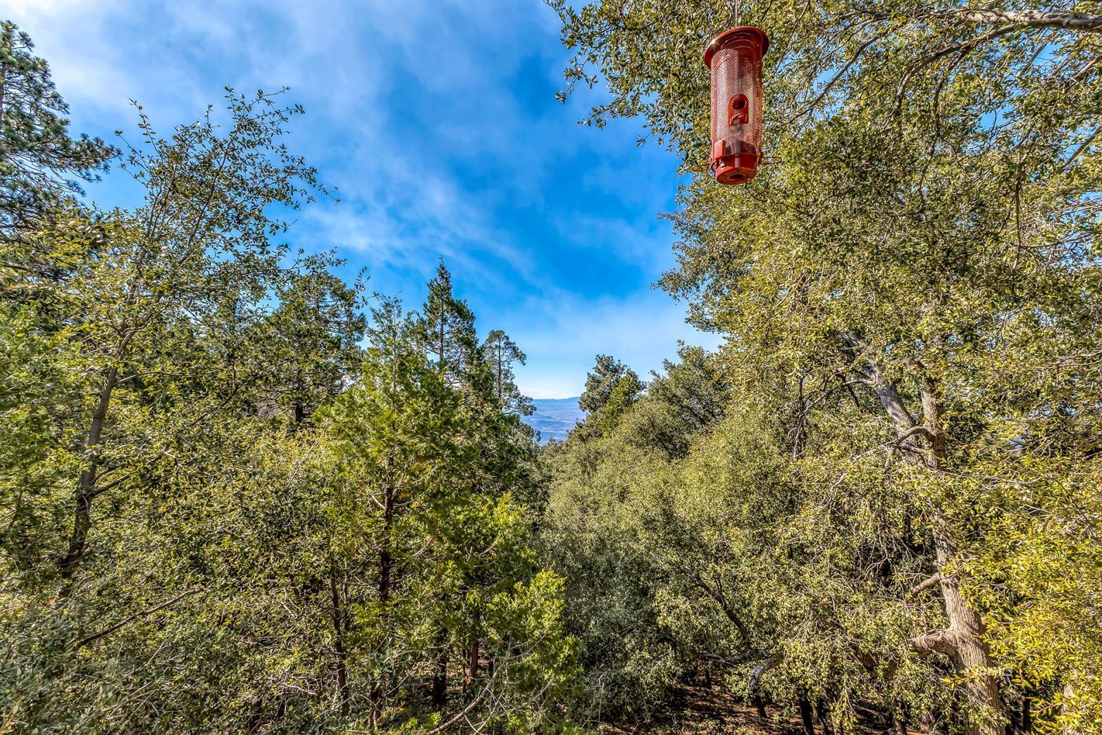 52365 Pine Ridge Road Idyllwild, CA 92549 - Photo 30 of 50 Untitled