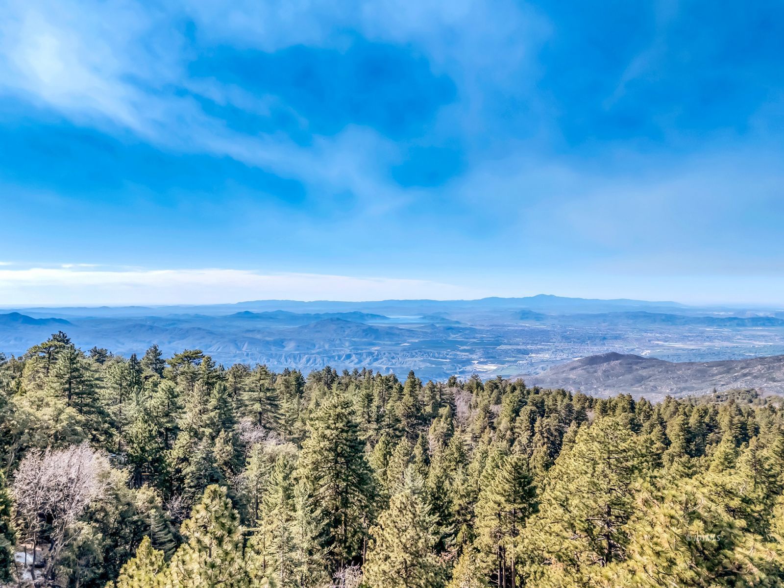 52365 Pine Ridge Road Idyllwild, CA 92549 - Photo 3 of 50 Untitled