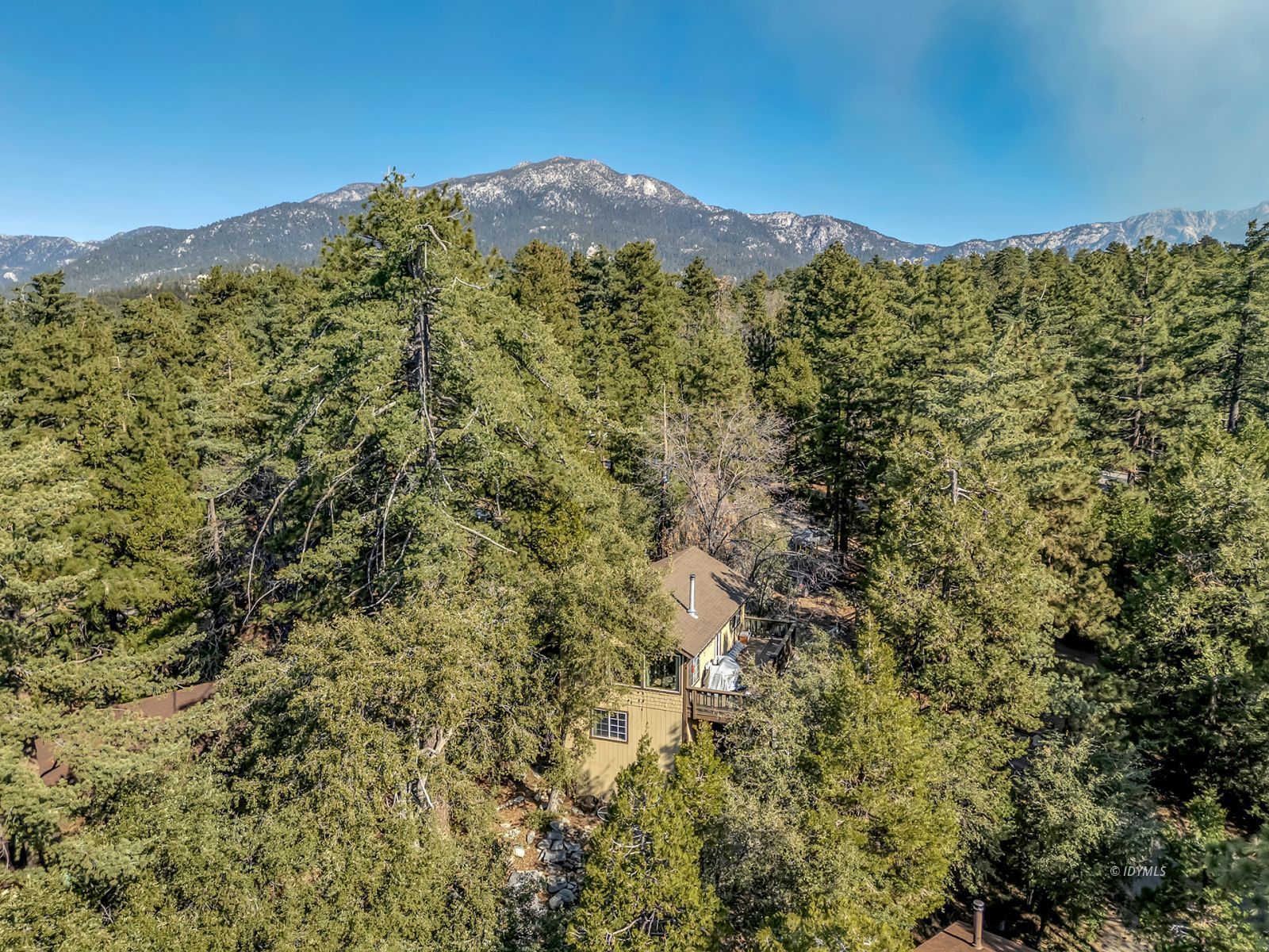52365 Pine Ridge Road Idyllwild, CA 92549 - Photo 4 of 50 Untitled