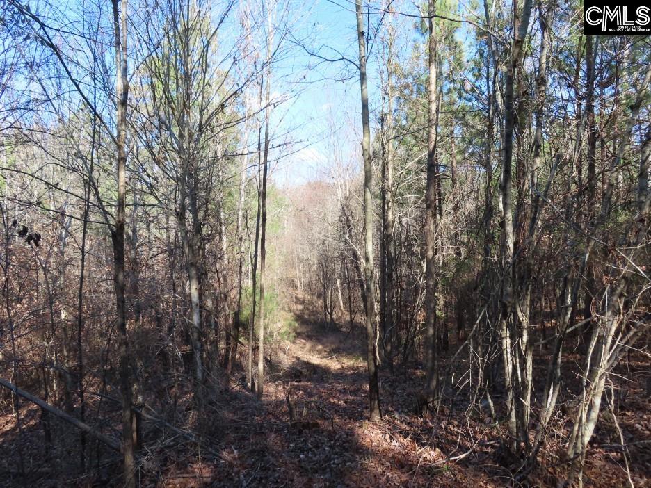 637 Cook Road Ridgeway, SC 29130 - Photo 27 of 51