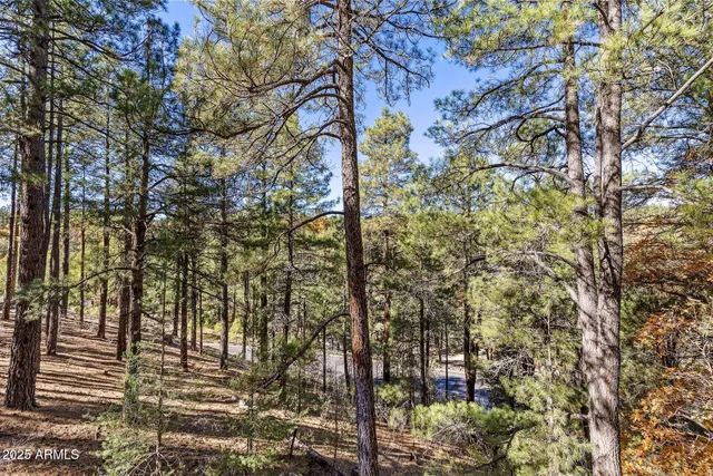 $2,595,000 | 2082 William Palmer, Flagstaff, AZ 86005