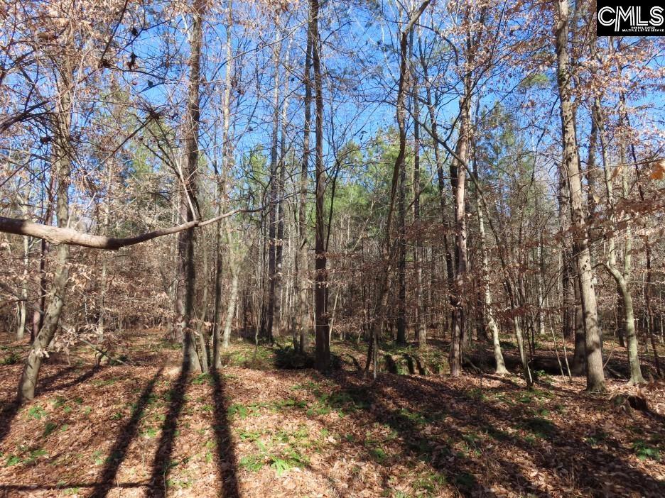 637 Cook Road Ridgeway, SC 29130 - Photo 38 of 51