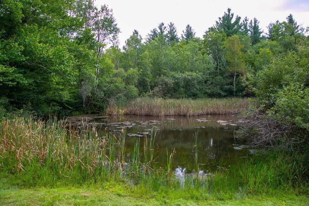 143 Windsor Bush Road Windsor, MA 01026 - Photo 25 of 29