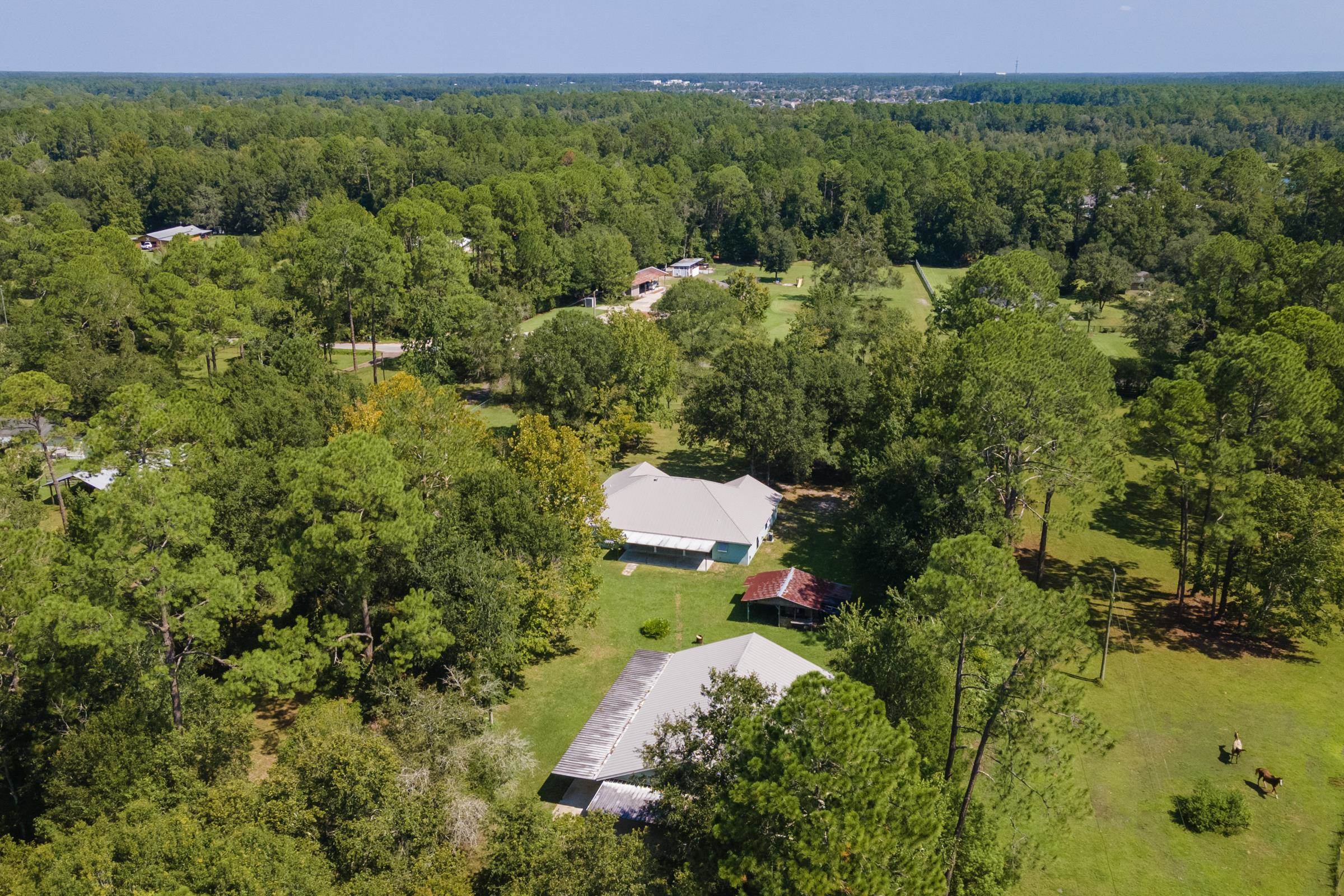 5035 Scaff Road St. Augustine, FL 32092 - Photo 3 of 56 a view of a forest with a street