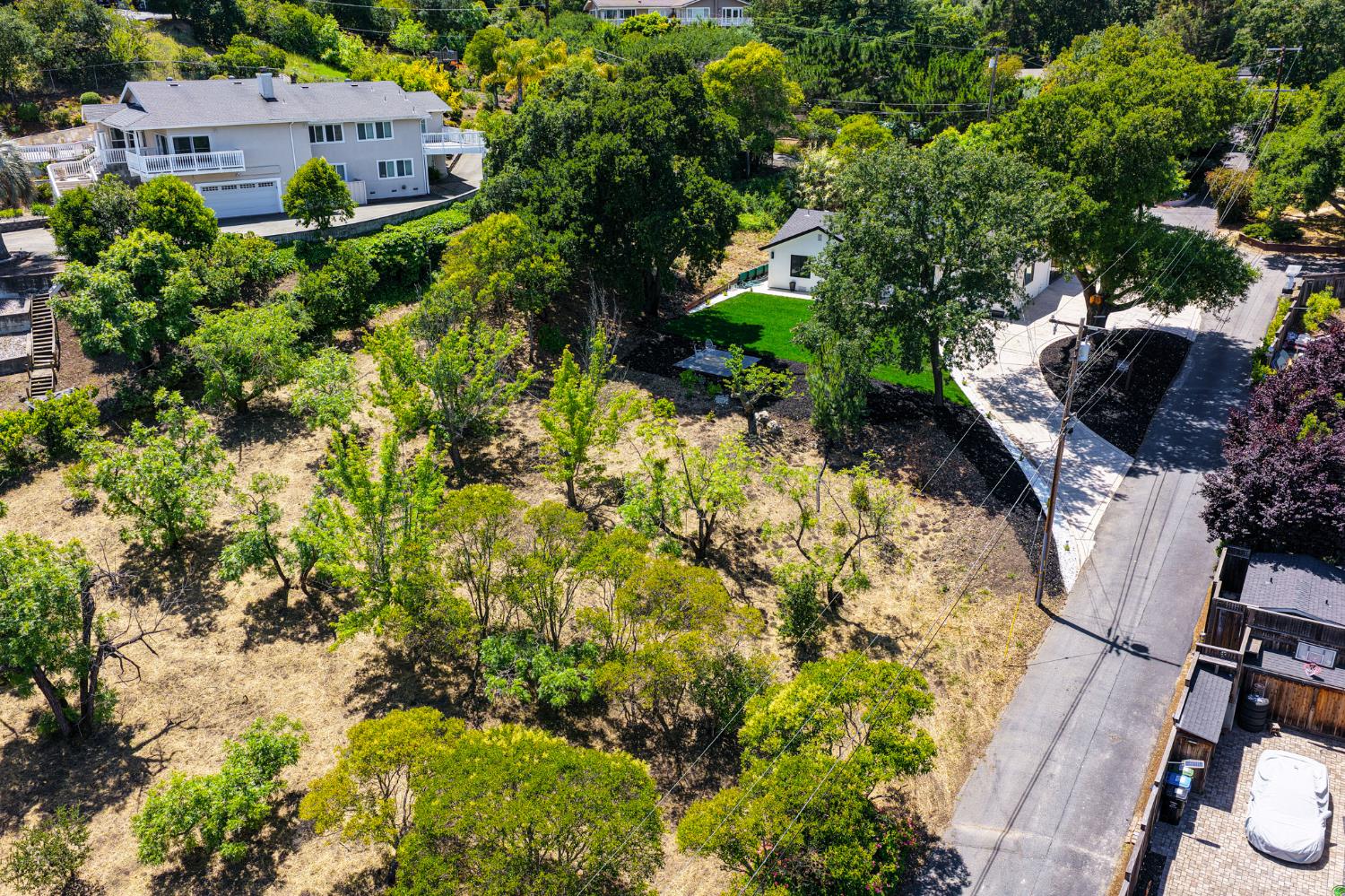 1543 Rancho View Drive Lafayette, CA 94549 - Photo 84 of 86