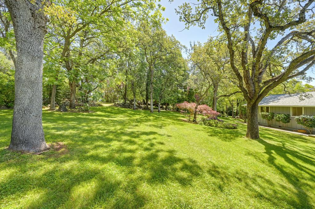 3735 Bell Road Auburn, CA 95603 - Photo 9 of 49
