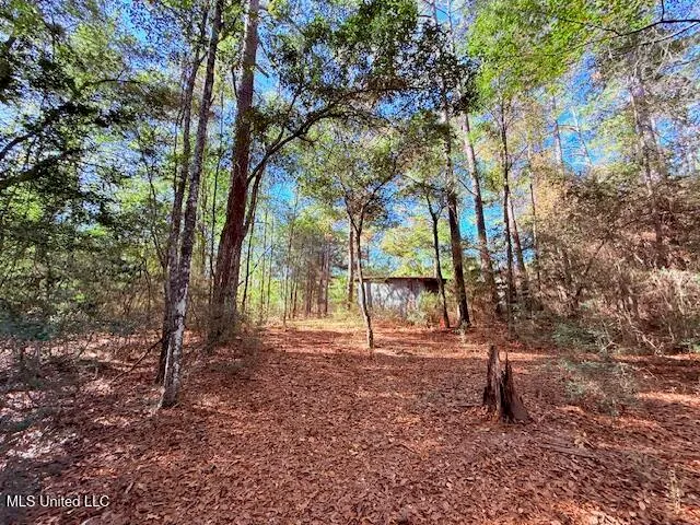 $299,950 | 516 Airline Highway, Tylertown, MS 39667