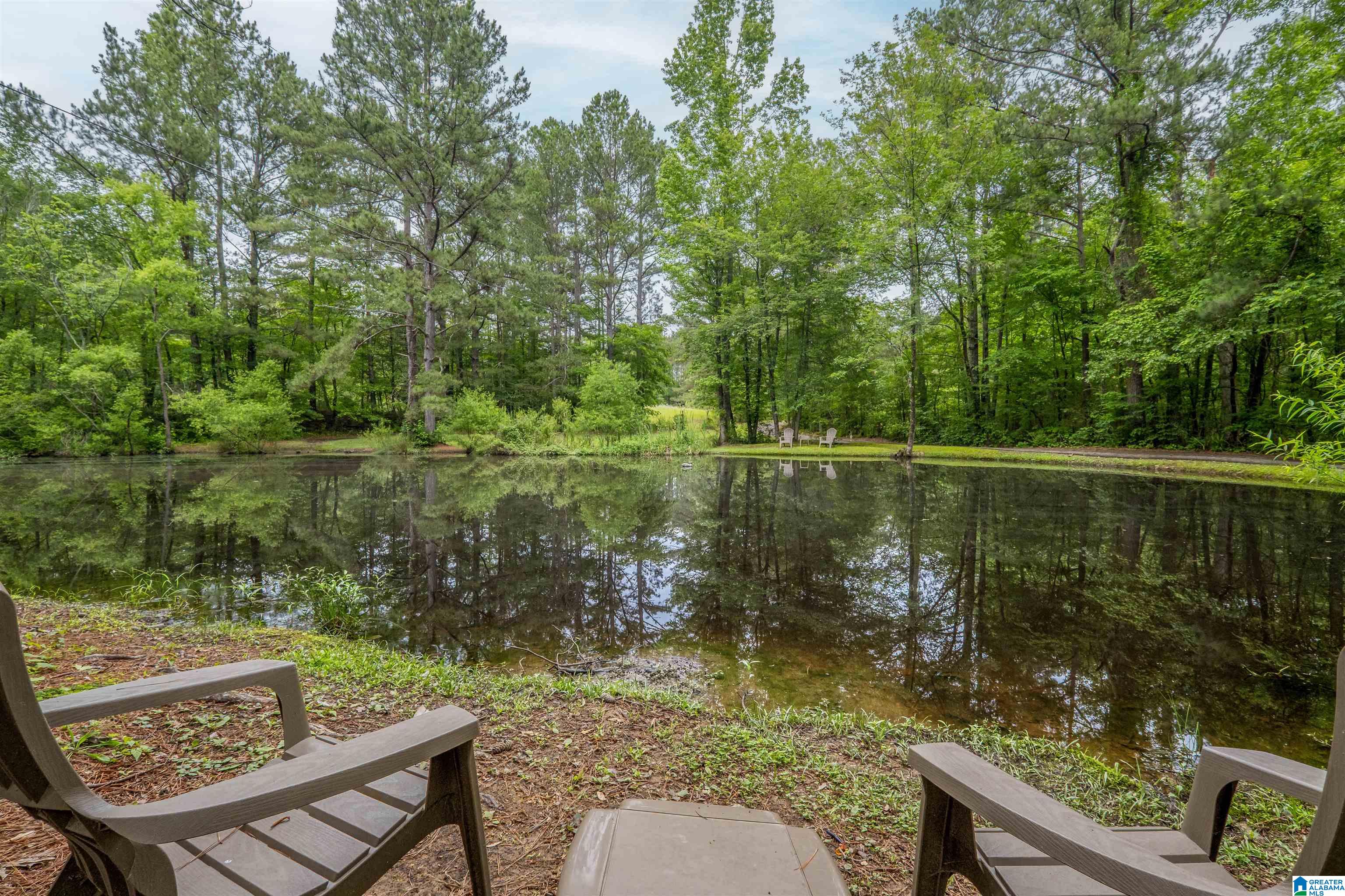 1329 Nisbet Lake Road Jacksonville, AL 36265 - Photo 47 of 60