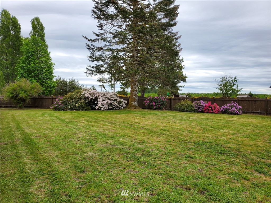 547 West Deckerville Road Matlock, WA 98560 - Photo 38 of 40 Gallery Image 38