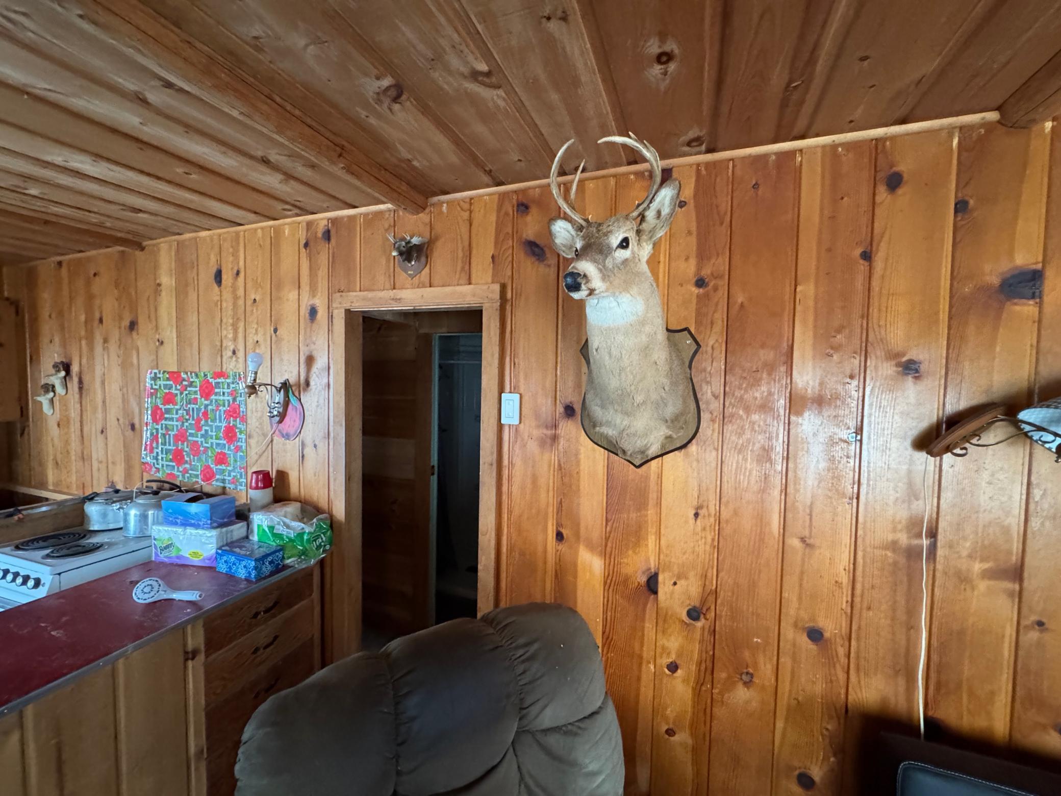 25845 Lou Rayne Beach Road Northeast Waskish, MN 56685 - Photo 12 of 17