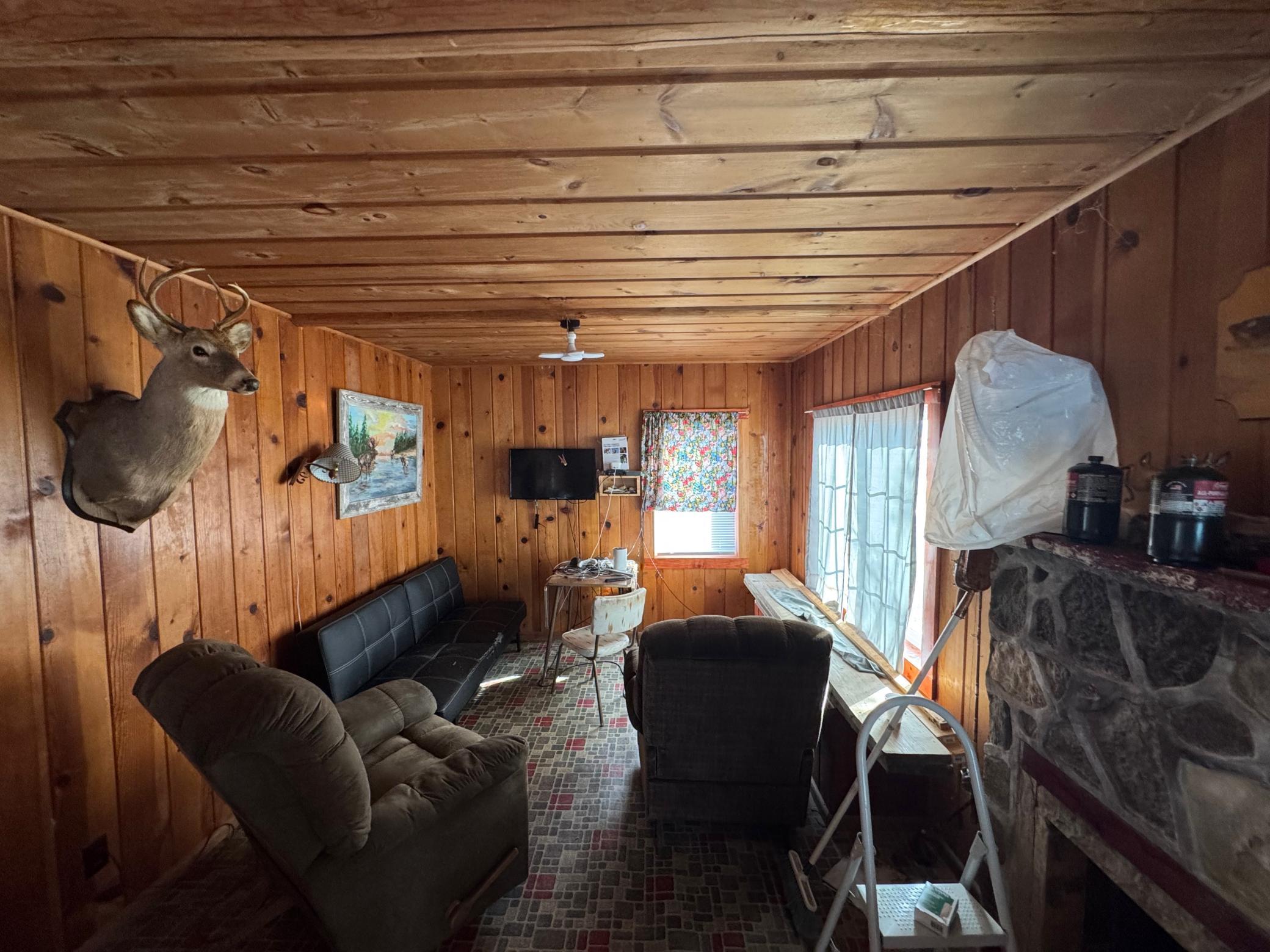 25845 Lou Rayne Beach Road Northeast Waskish, MN 56685 - Photo 10 of 17