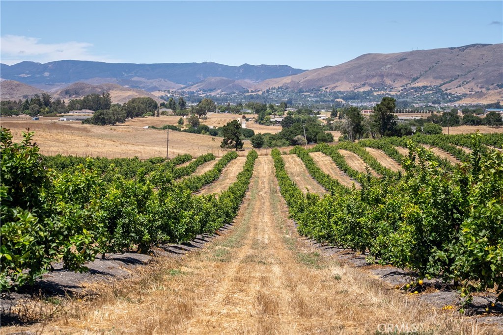 5502 Los Ranchos Road San Luis Obispo, CA 93401 - Photo 20 of 75