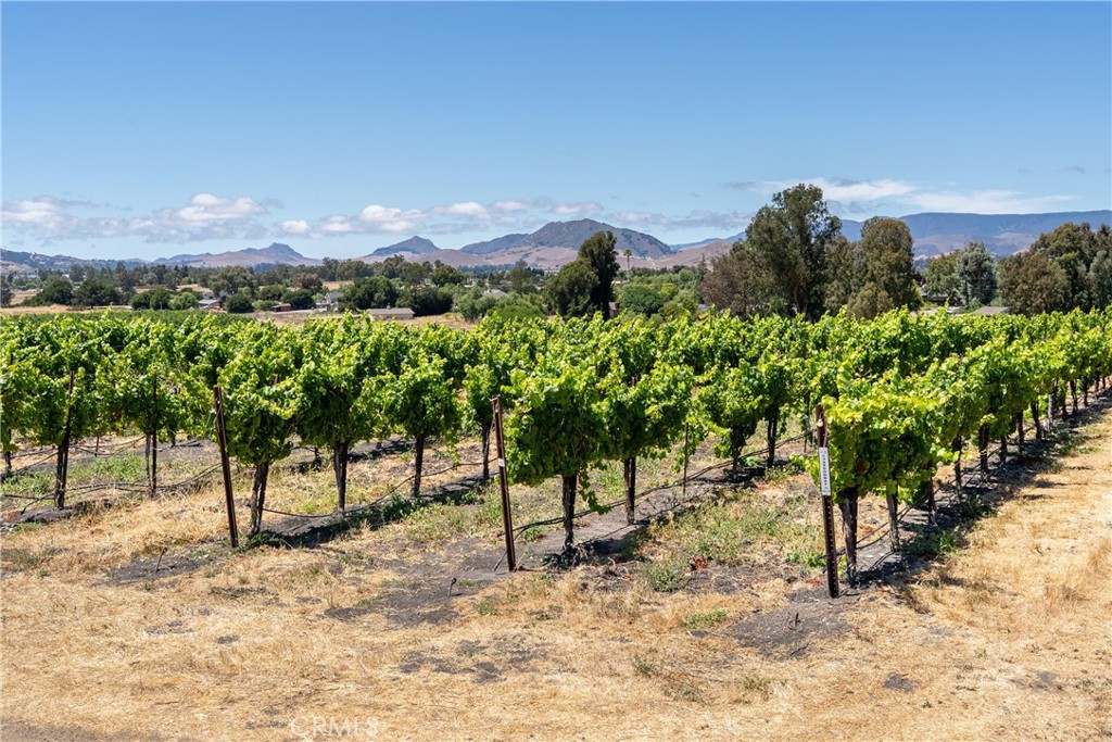 5502 Los Ranchos Road San Luis Obispo, CA 93401 - Photo 28 of 75
