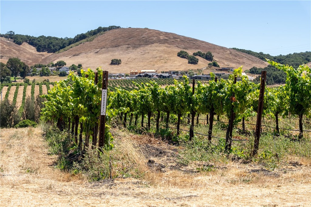 5502 Los Ranchos Road San Luis Obispo, CA 93401 - Photo 29 of 75 a view of a backyard