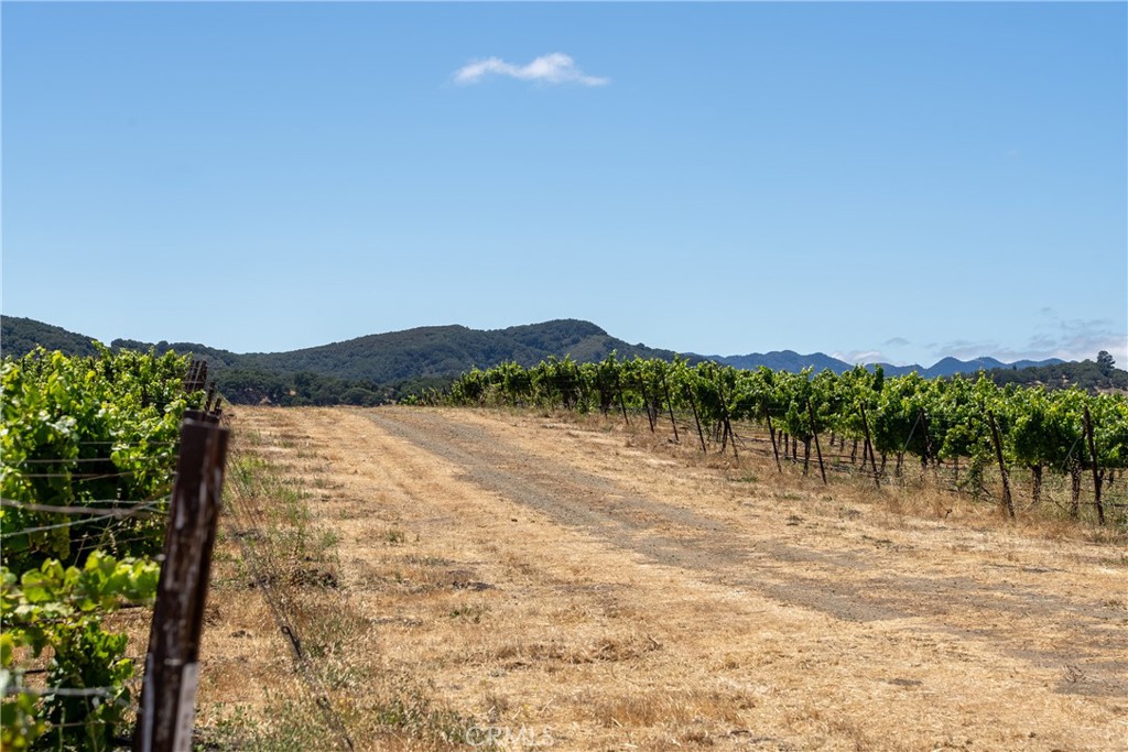 5502 Los Ranchos Road San Luis Obispo, CA 93401 - Photo 31 of 75