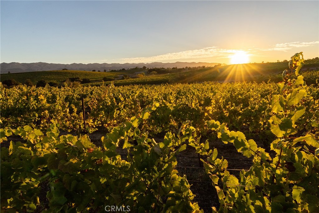 5502 Los Ranchos Road San Luis Obispo, CA 93401 - Photo 37 of 75