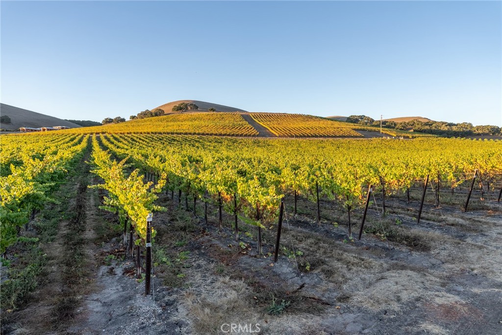 5502 Los Ranchos Road San Luis Obispo, CA 93401 - Photo 38 of 75 a view of a lake with a garden
