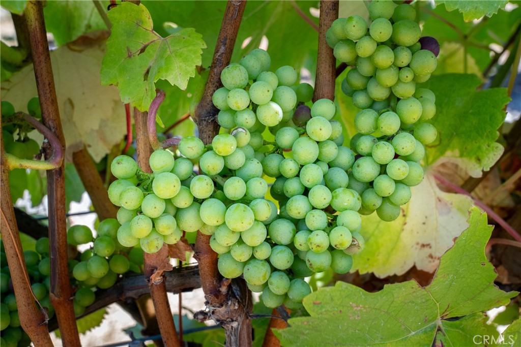 5502 Los Ranchos Road San Luis Obispo, CA 93401 - Photo 8 of 75