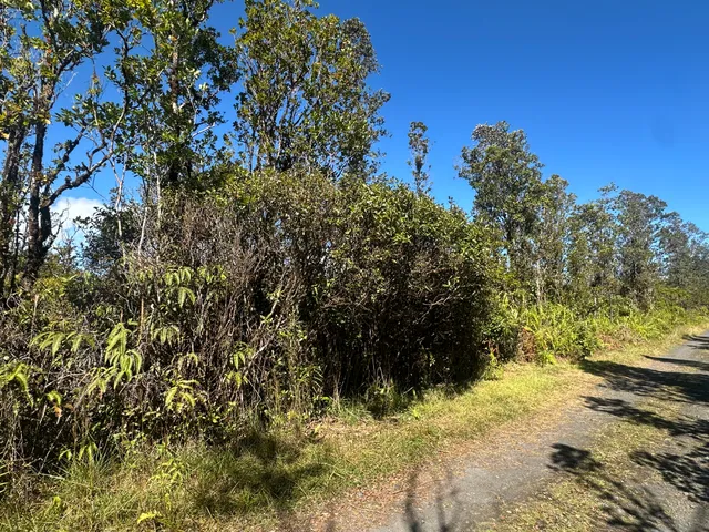 a picture of flowers