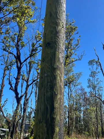 $30,000 | 20 Wailele St Mountain View, Pahoa, HI 96778