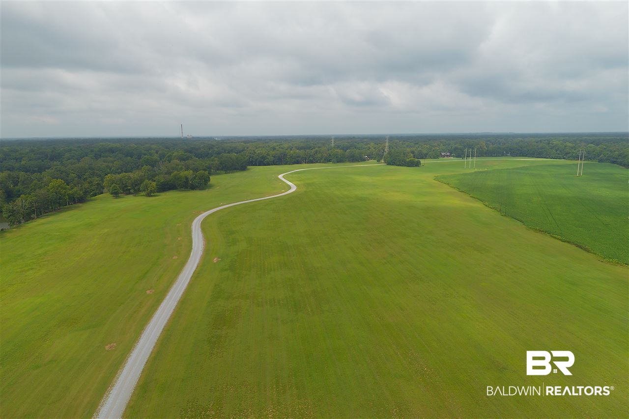0 Jimmy Phillips Road Greensboro, AL 36744 - Photo 14 of 16