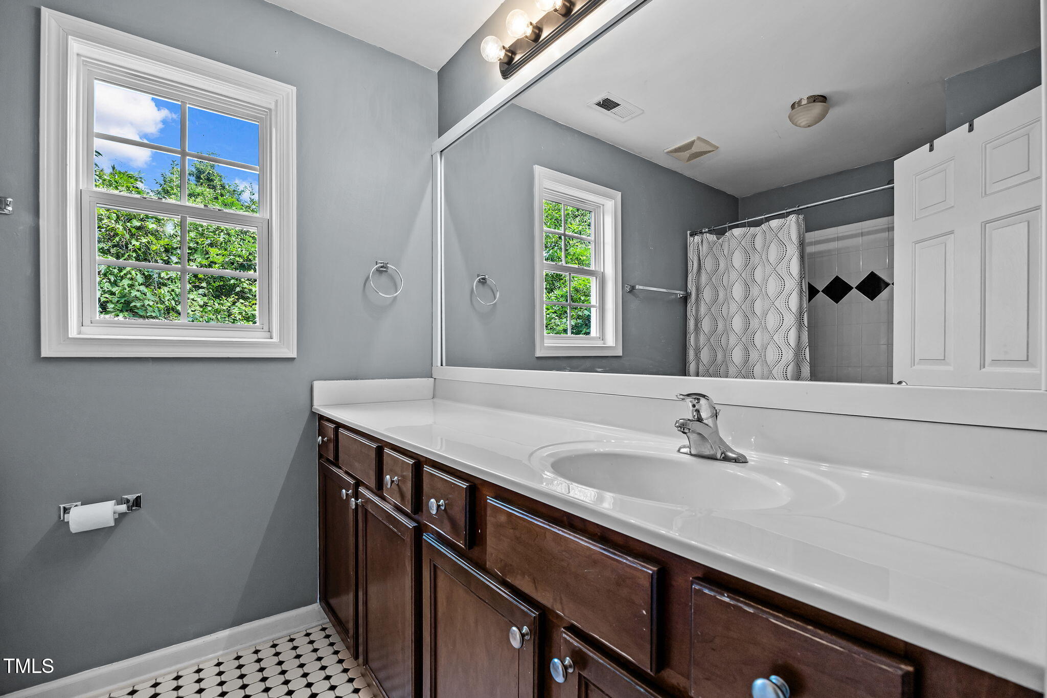 2310 Shepherd Valley Street Raleigh, NC 27610 - Photo 14 of 27 a sink with a window and a potted plant