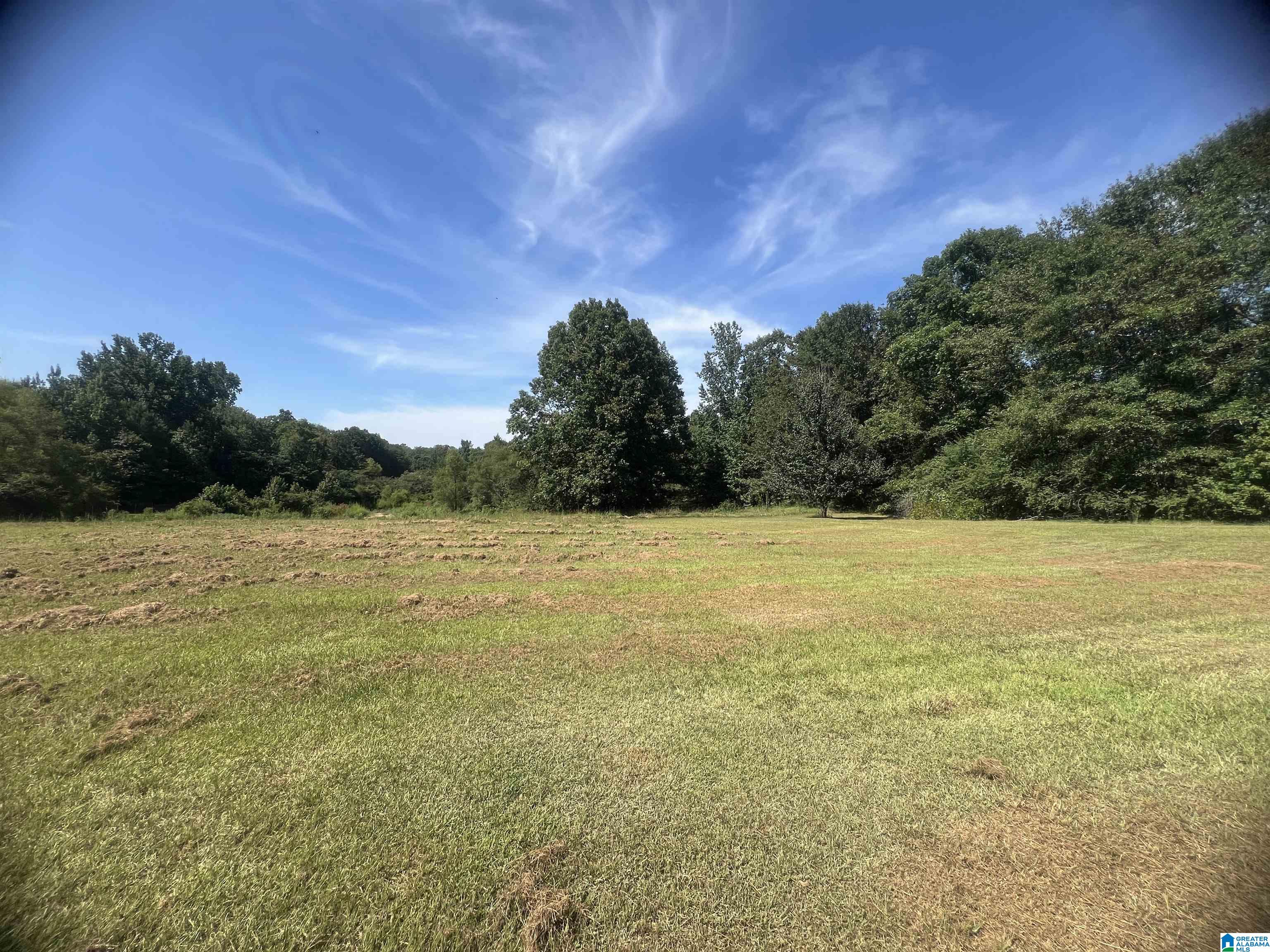 20585 Pleasant Grove Road Vance, AL 35490 - Photo 58 of 59