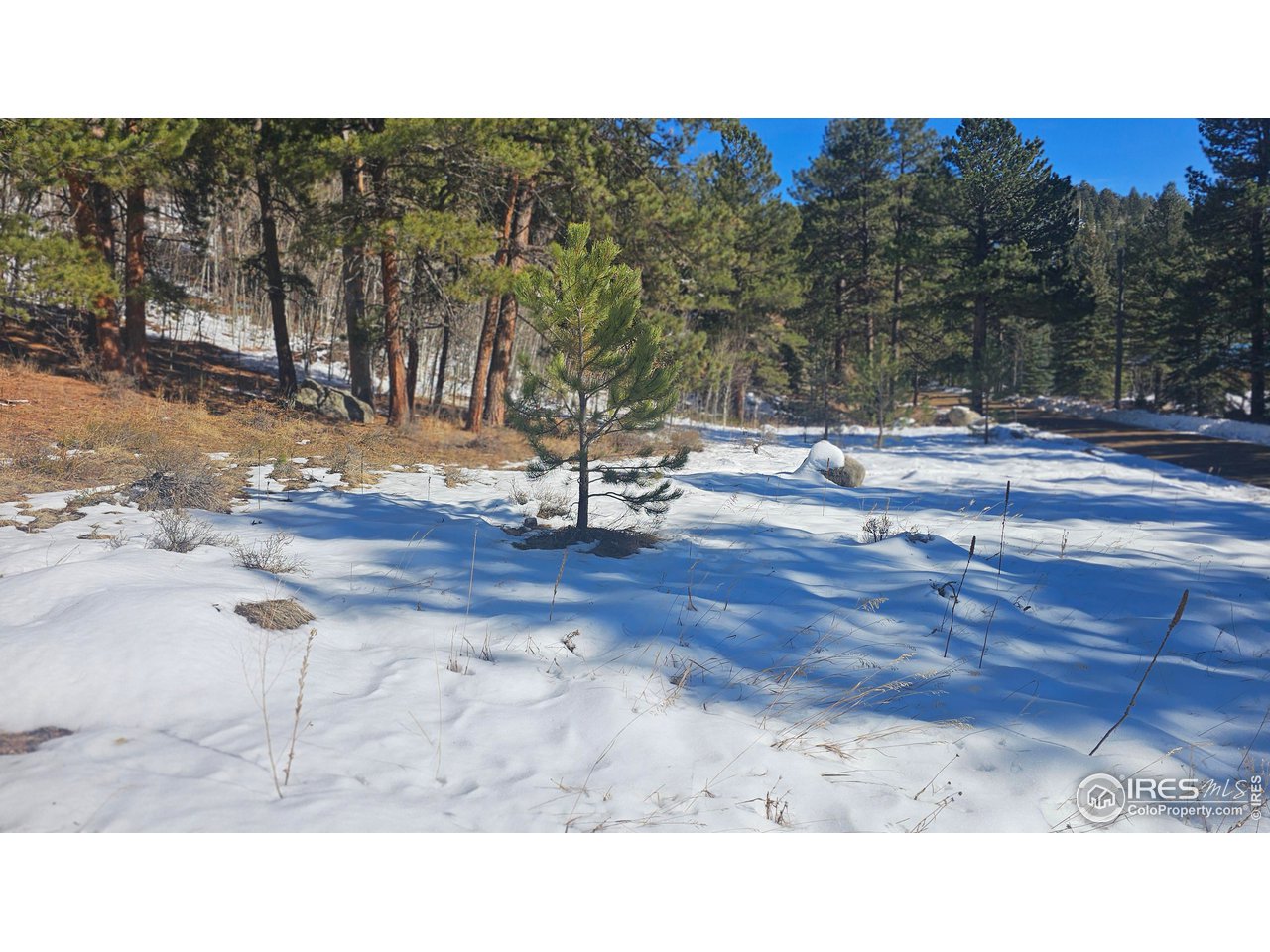 0 Cold Springs Road Boulder, CO 80302 - Photo 11 of 14 Gallery Image 11