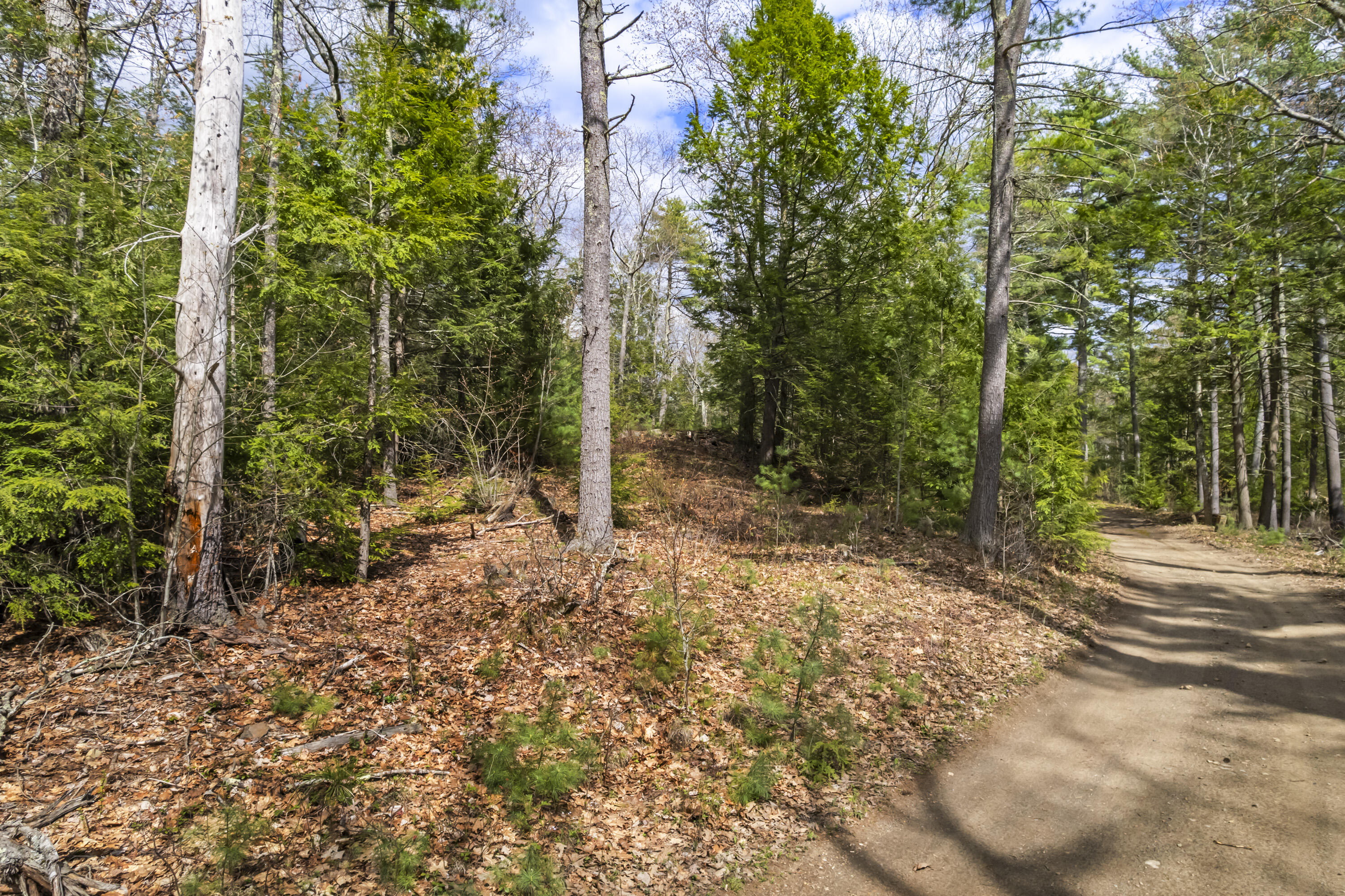 0 Taylor Road Wells, ME 04090 - Photo 7 of 19 Lot