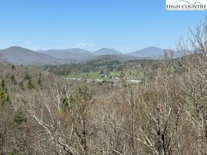 614 Tarleton Circle Boone, NC 28607 - Photo 12 of 50