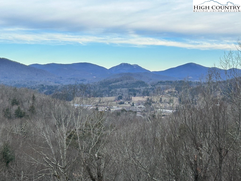 614 Tarleton Circle Boone, NC 28607 - Photo 14 of 50