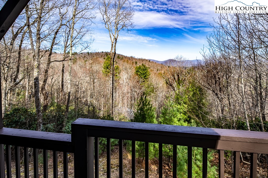 614 Tarleton Circle Boone, NC 28607 - Photo 47 of 50