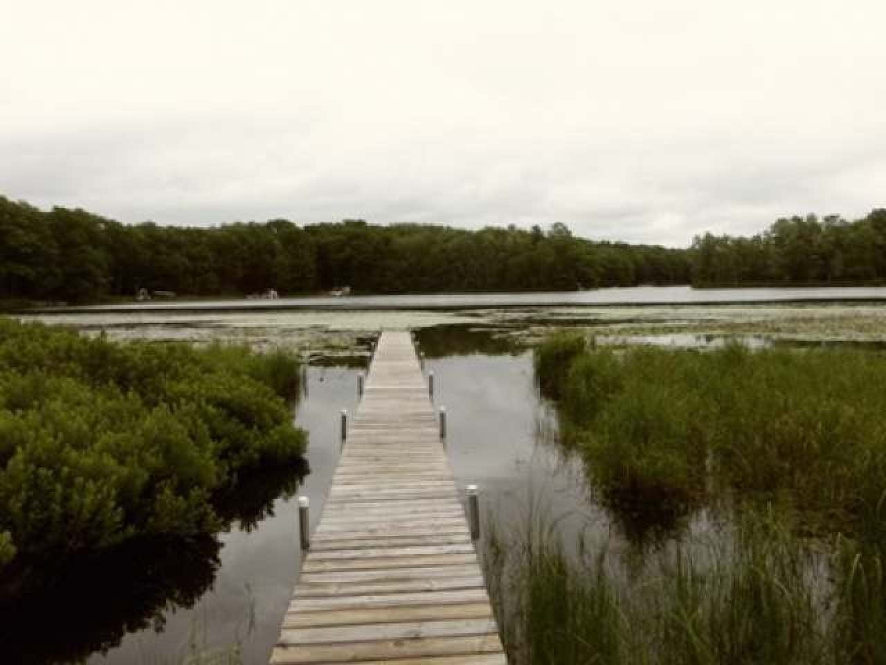 N9339 Mill Road Summit Lake, WI 54485 - Photo 9 of 12 Gallery Image 9