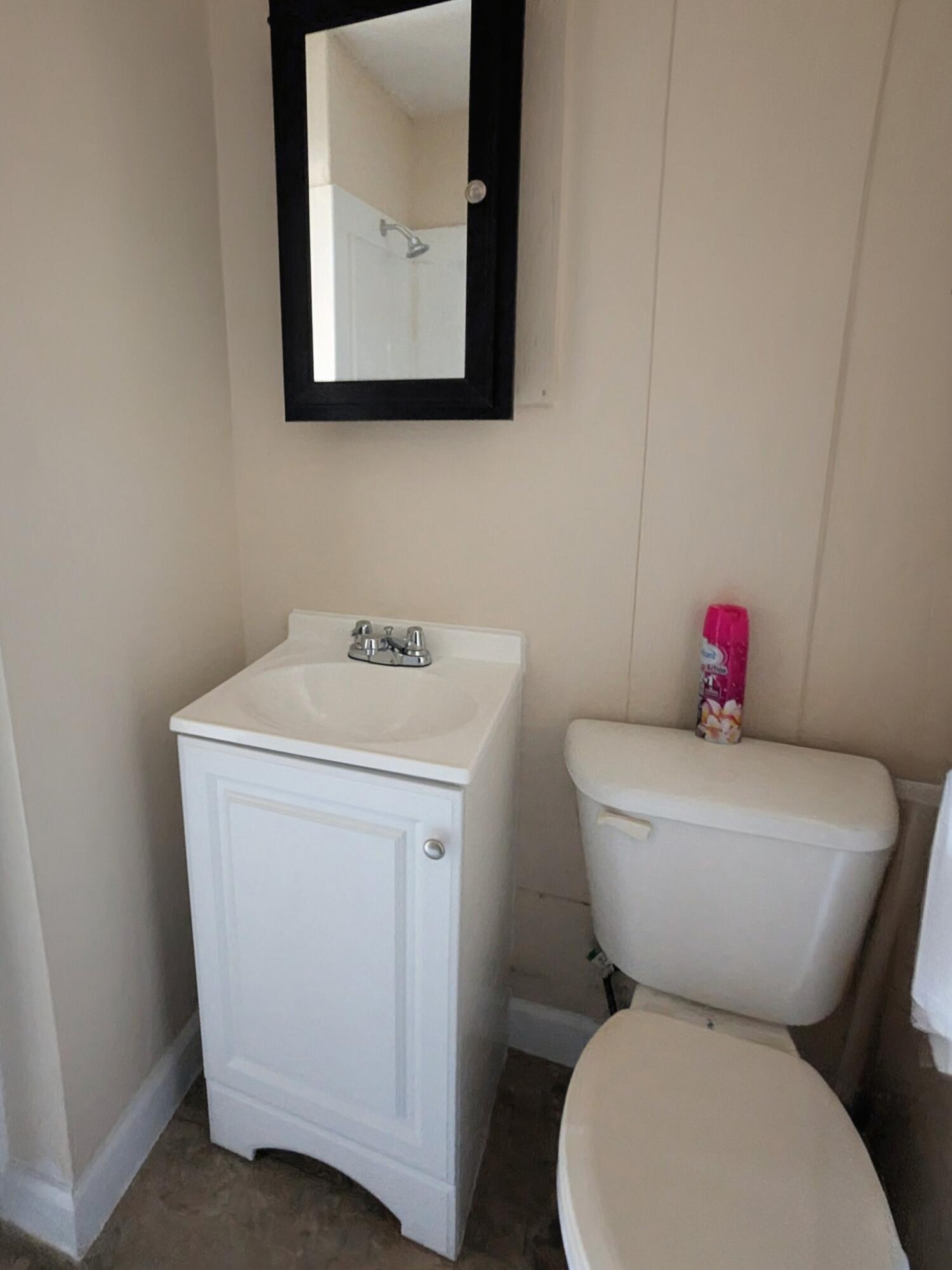 260 Lanier Road Johnston, SC 29832 - Photo 9 of 12 Gallery Image 9