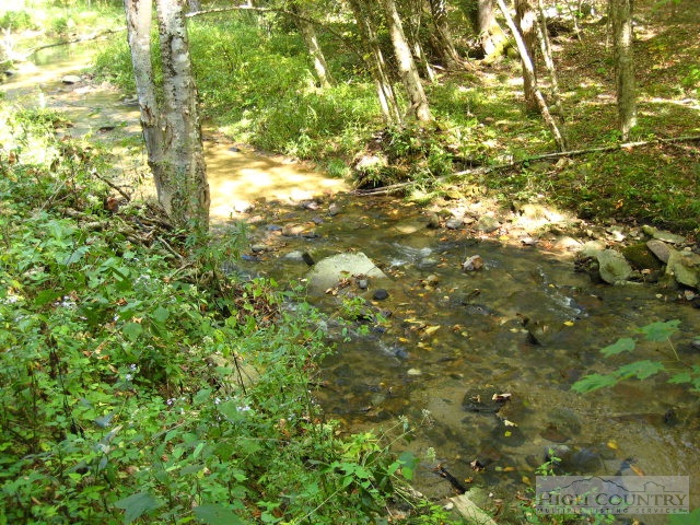 Upper Crab Orchard Road Banner Elk, NC 28604 - Photo 4 of 8 Gallery Image 4