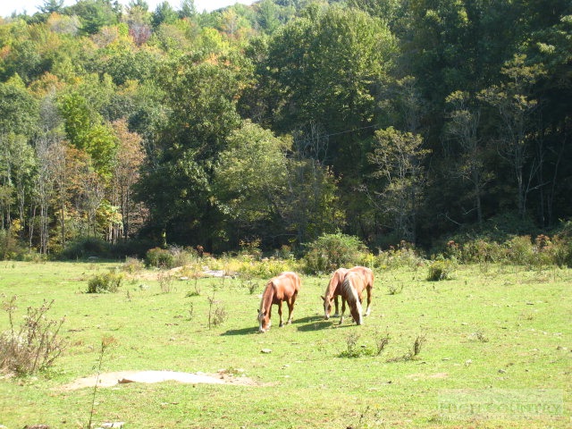 Upper Crab Orchard Road Banner Elk, NC 28604 - Photo 8 of 8 Gallery Image 8