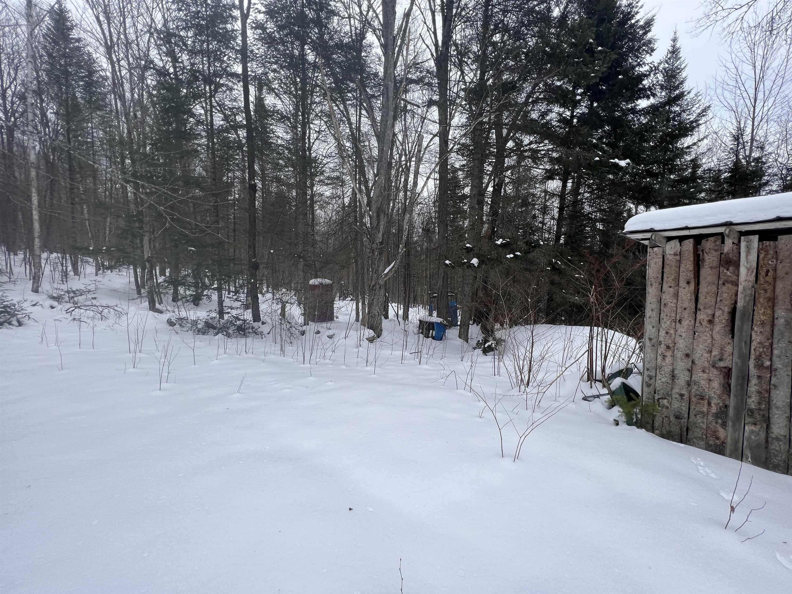 418 Hall Road Maidstone, VT 05905 - Photo 19 of 24