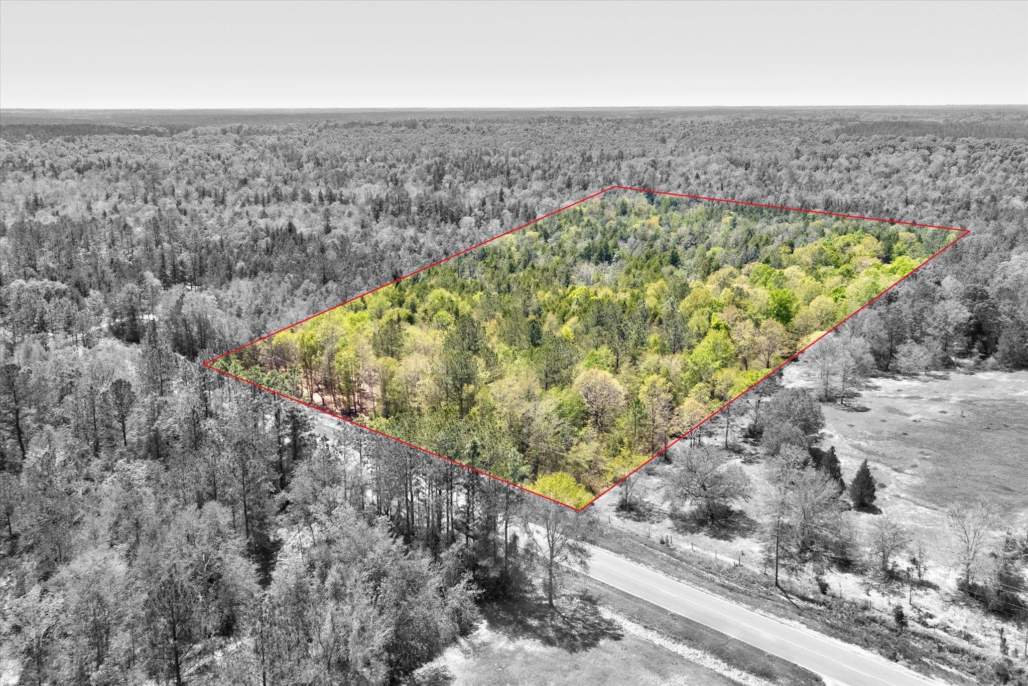 44772 Phillipsville Road Bay Minette, AL 36507 - Photo 14 of 15