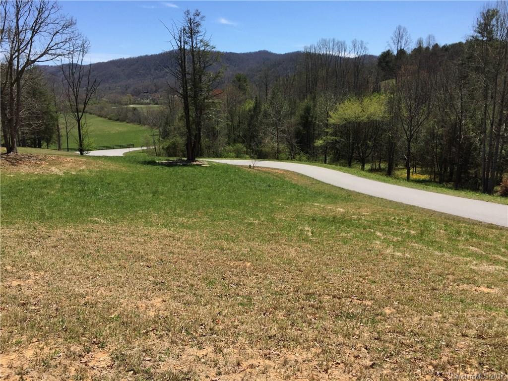 29 Newcastle Road Brevard, NC 28712 - Photo 1 of 10 Gallery Image 1