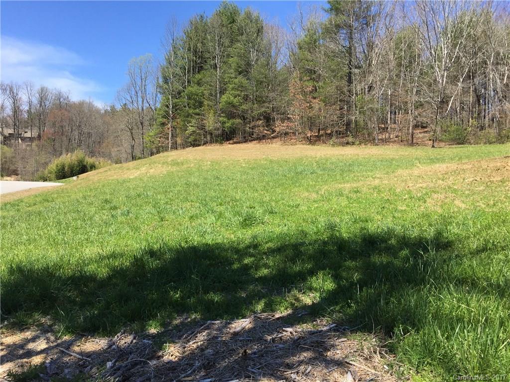 29 Newcastle Road Brevard, NC 28712 - Photo 2 of 10 Gallery Image 2