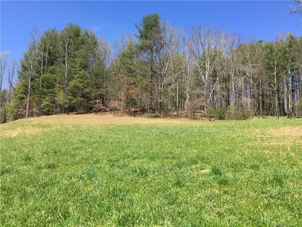 29 Newcastle Road Brevard, NC 28712 - Photo 3 of 10 Gallery Image 3