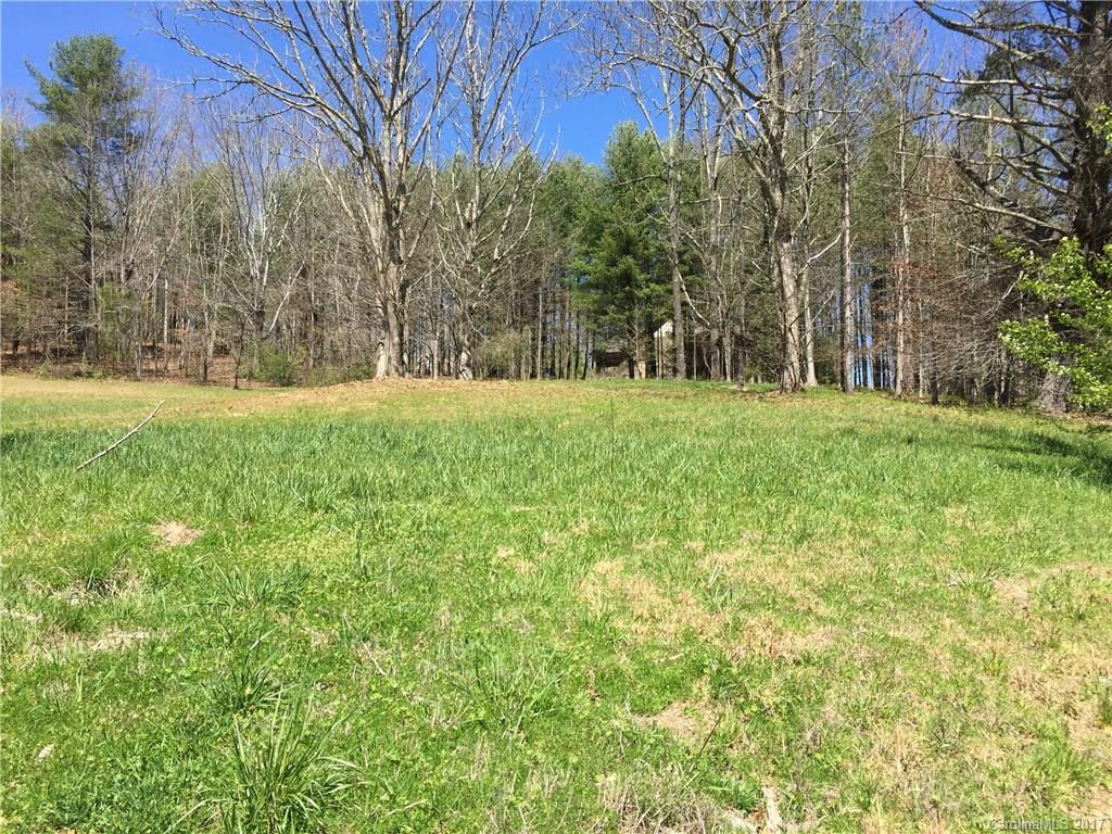 29 Newcastle Road Brevard, NC 28712 - Photo 5 of 10 Gallery Image 5
