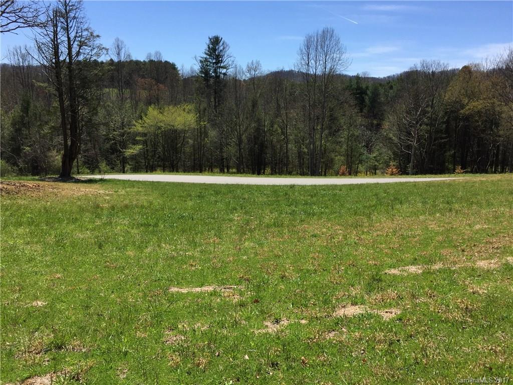 29 Newcastle Road Brevard, NC 28712 - Photo 8 of 10 Gallery Image 8