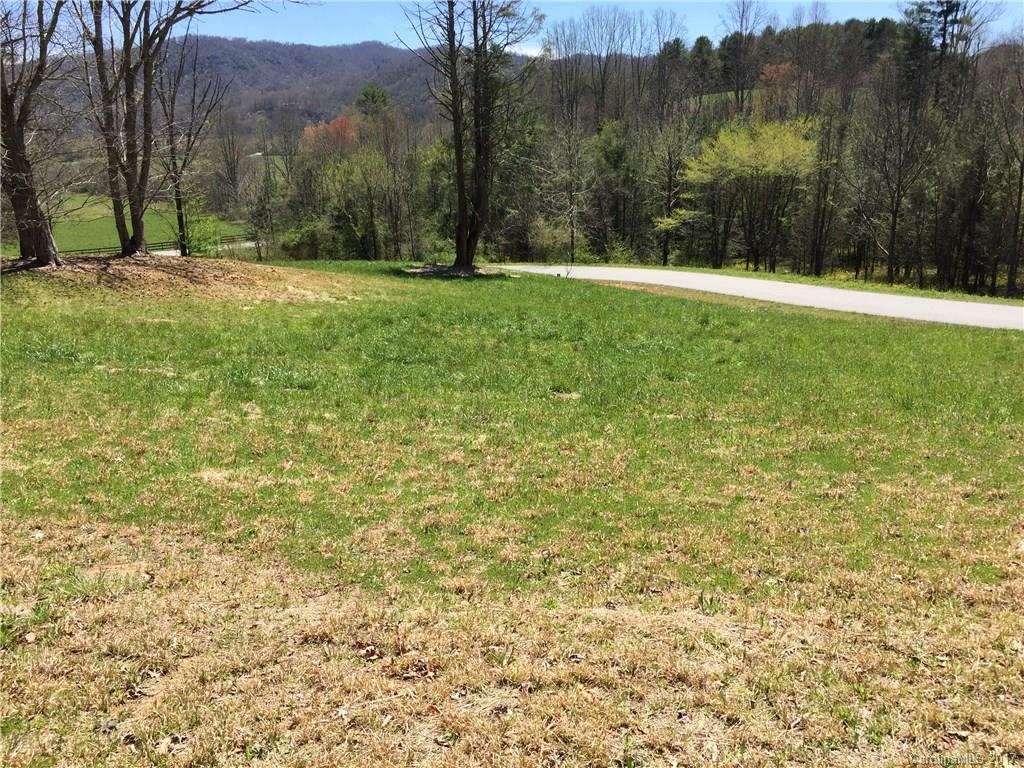 29 Newcastle Road Brevard, NC 28712 - Photo 10 of 10 Gallery Image 10