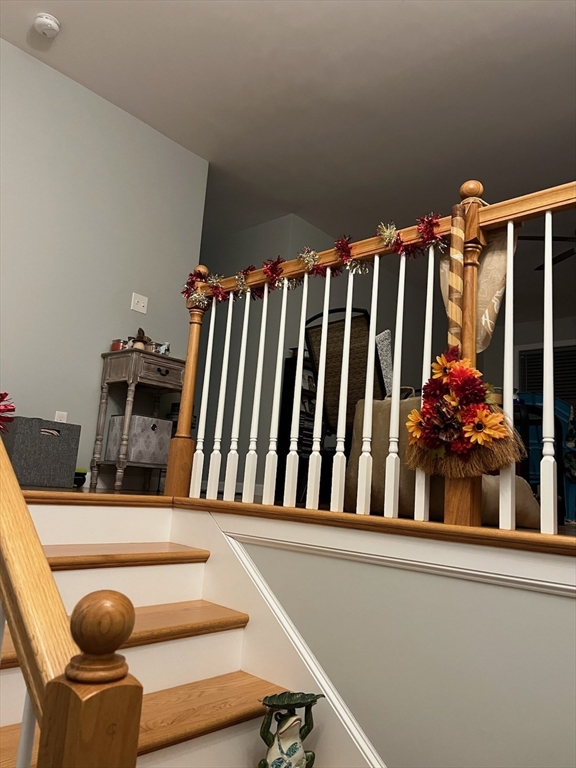 367 County Street Fall River, MA 02723 - Photo 2 of 8 a view of kitchen with furniture and a potted plant