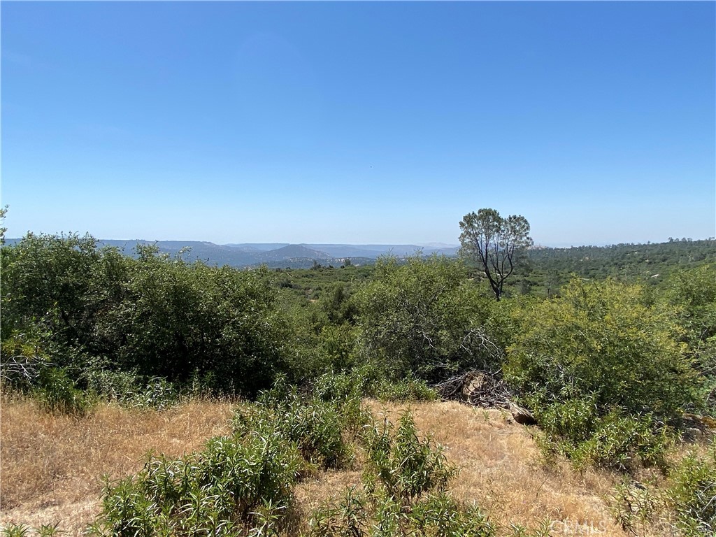 -38.31 Ac Flying O Ranch Road Coarsegold, CA 93614 - Photo 1 of 1 Gallery Image 1