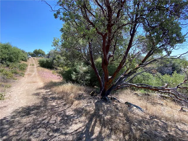 $165,000 | -38.31 Ac Flying O Ranch Road, Coarsegold, CA 93614