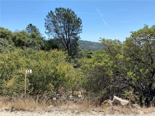 $165,000 | -38.31 Ac Flying O Ranch Road, Coarsegold, CA 93614