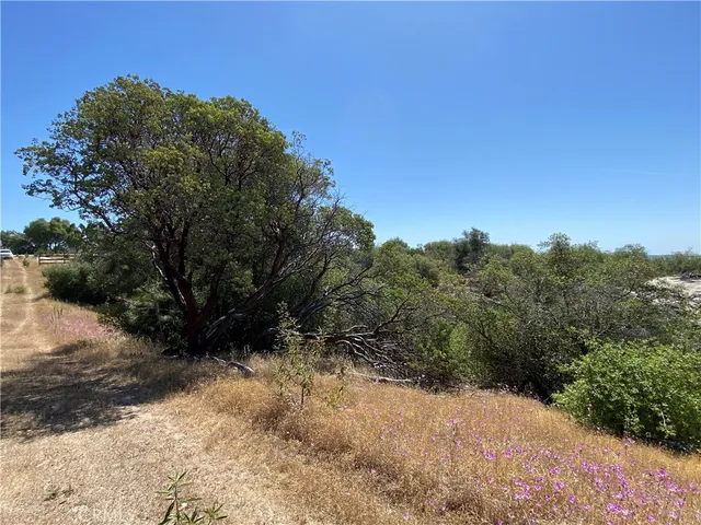 $165,000 | -38.31 Ac Flying O Ranch Road, Coarsegold, CA 93614